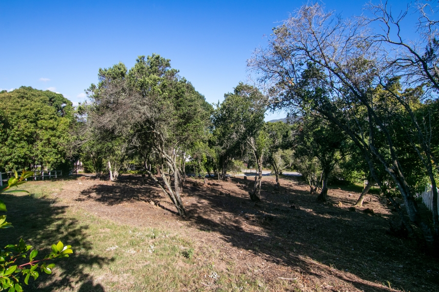 0 Bedroom Property for Sale in Belvidere Estate Western Cape